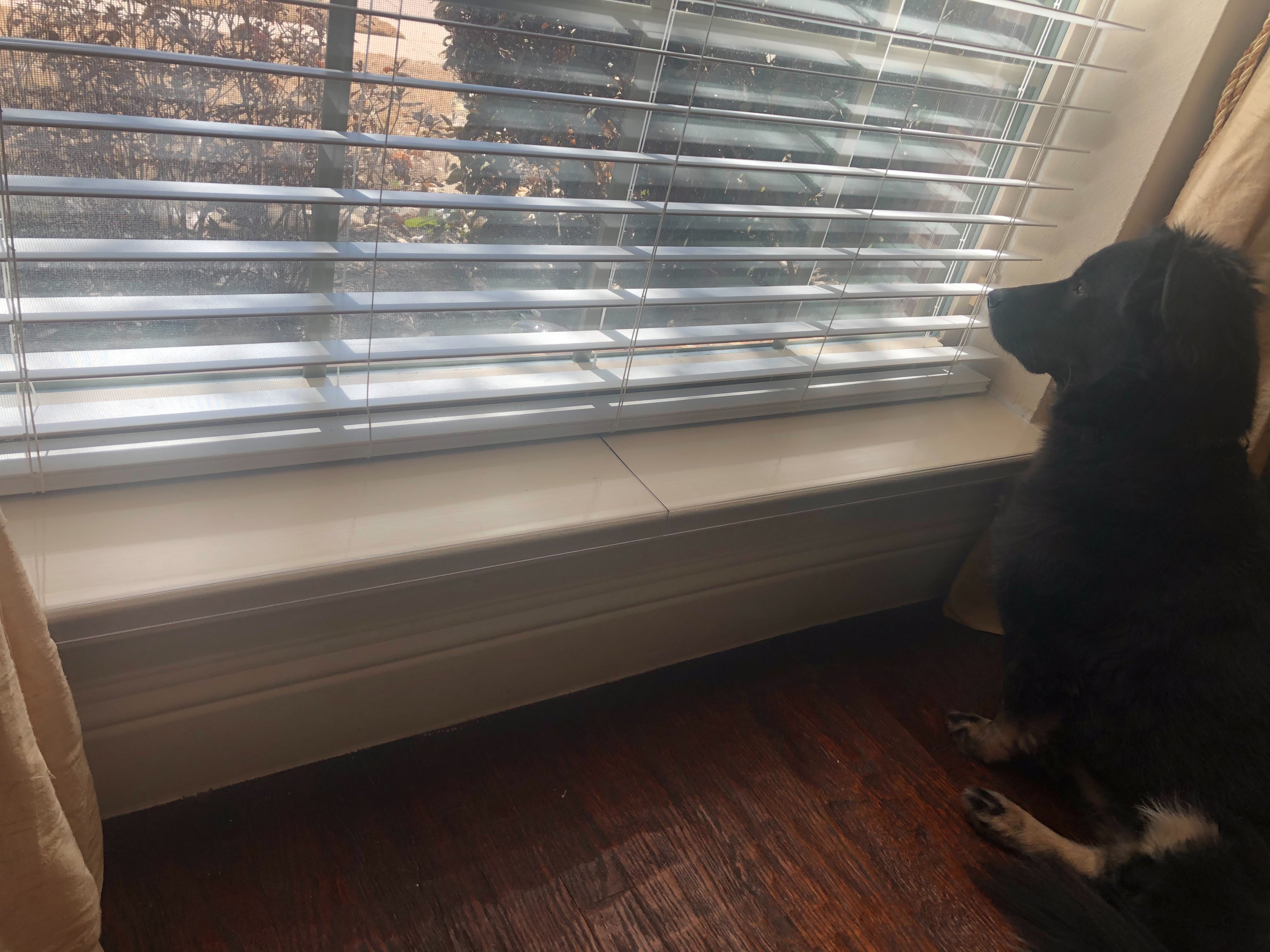 35 1/2" x 5 1/4" Clear Windowsill Protector