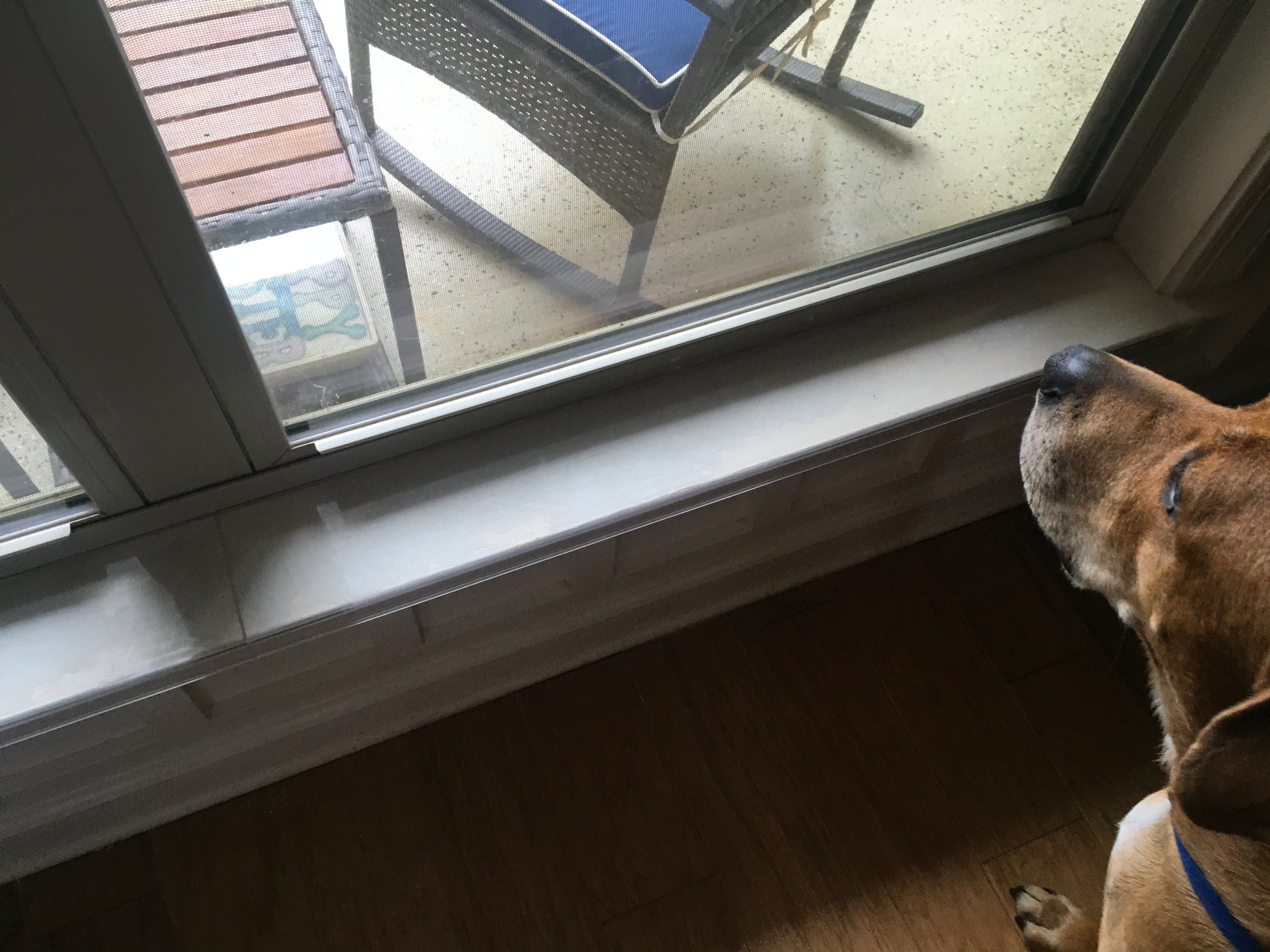 35 1/2" x 5 1/4" Clear Windowsill Protector